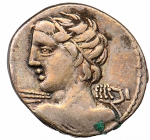 Römische Republik: C. Licinius Macer