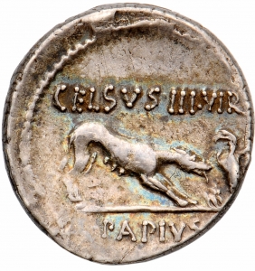 Römische Republik: L. Papius Celsus