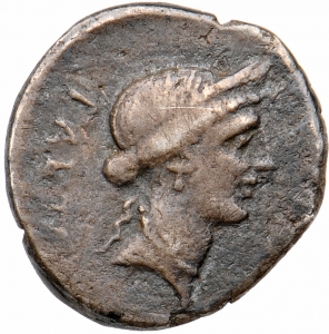 Römische Republik: C. Considius Paetus
