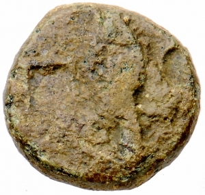 Polyrhenia