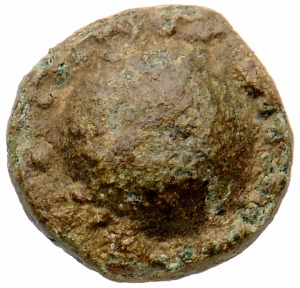 Polyrhenia