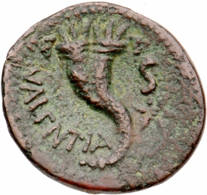 Vibo Valentia