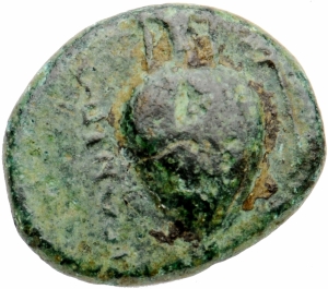 Hipponion