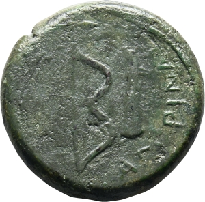 Agyrion