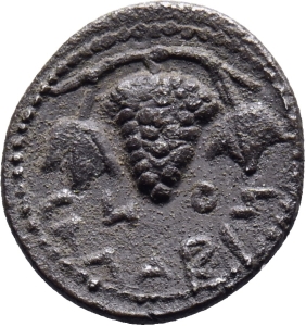 Galaria