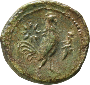 Tyndaris