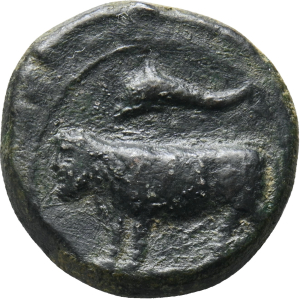 Alaisa Katane (Fälschung)